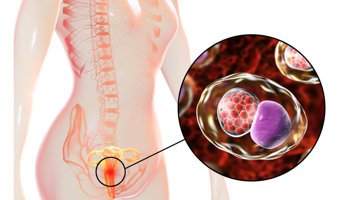 strankycinskemediciny-chlamydie