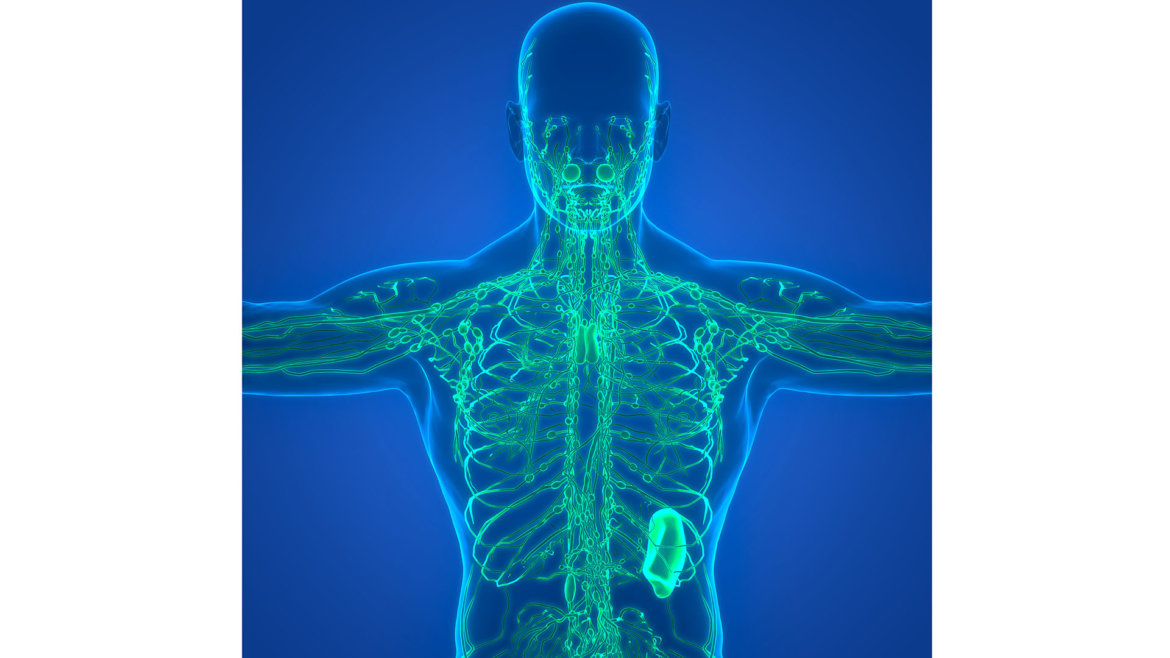 Lymfa strankycinskemediciny-podpora-prutoku-lymfy