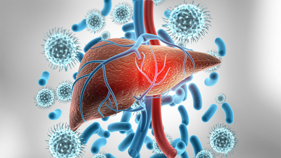 strankycinskemediciny-hepatitida-zanet-jater