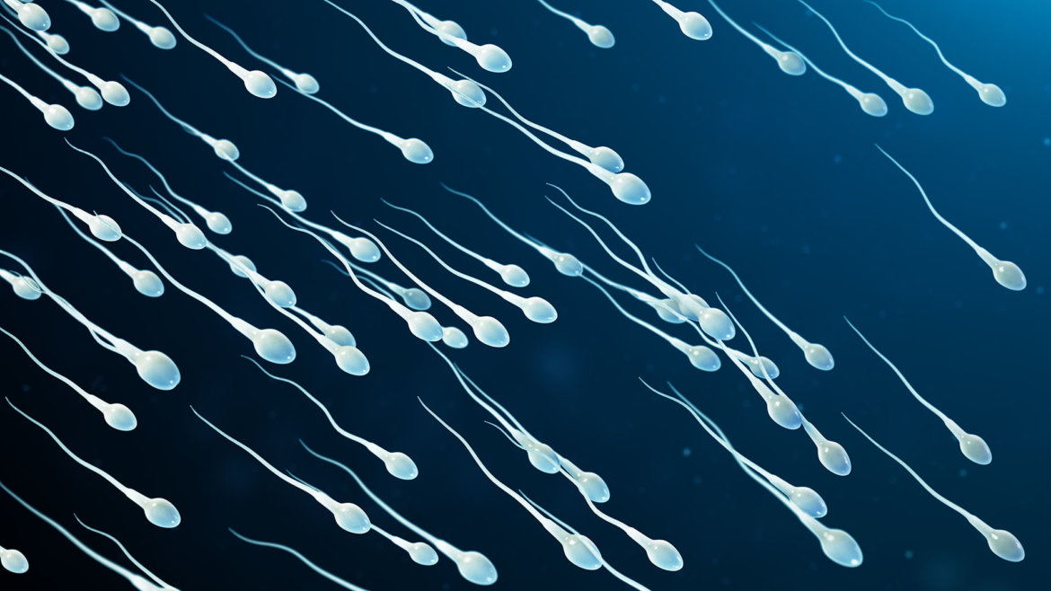 Spermie – zlepšení kvality a počtu strankycinskemediciny-spermie-zlepseni-kvality-a-poctu