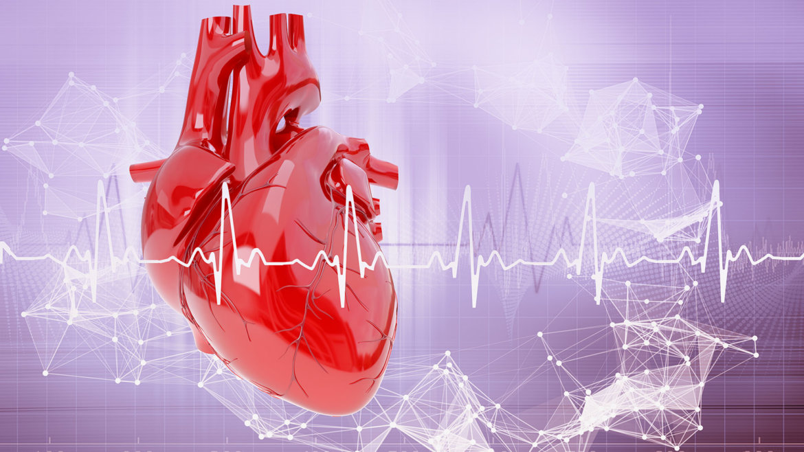 Srdce – posílení strankycinskemediciny-srdce-posileni