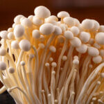 strankycinskemediciny-enoki-penizovka-sametonoha