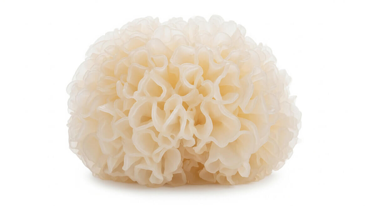 strankycinskemediciny-Tremella-rosolovka-rasotvara